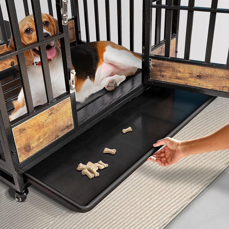 Dog kennel with store tray